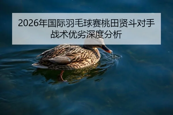 2026年国际羽毛球赛桃田贤斗对手战术优劣深度分析