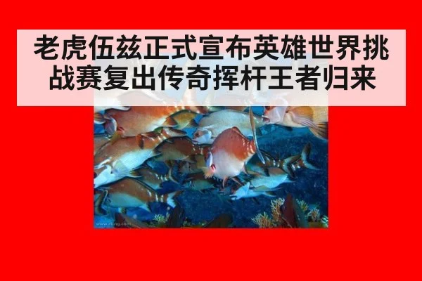 老虎伍兹正式宣布英雄世界挑战赛复出传奇挥杆王者归来