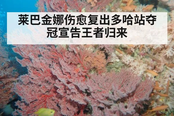 莱巴金娜伤愈复出多哈站夺冠宣告王者归来